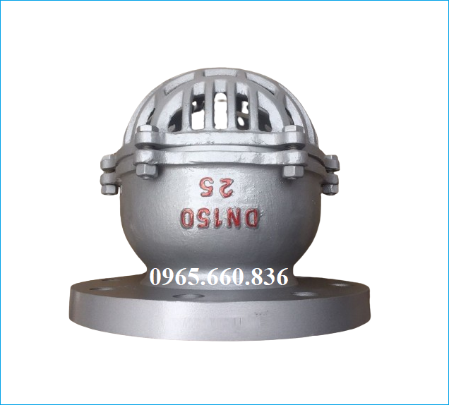 rọ bơm th&eacute;p trung quốc 3