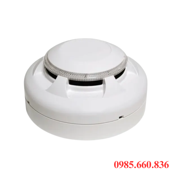 Đầu báo khói ion hóa