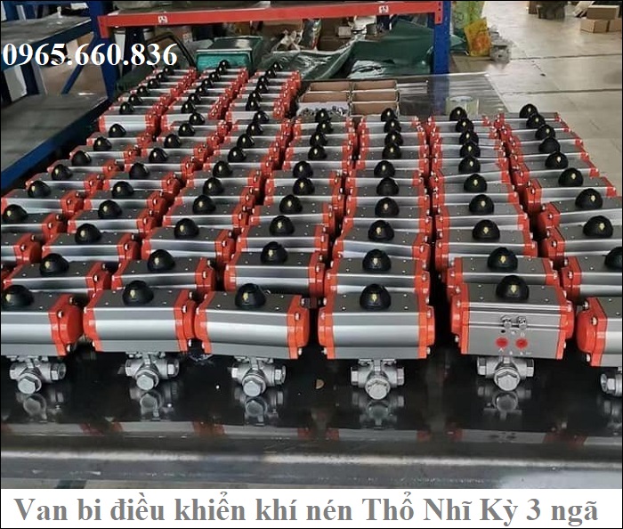 van bi điều khiển khí nén thổ nhĩ kỳ 1