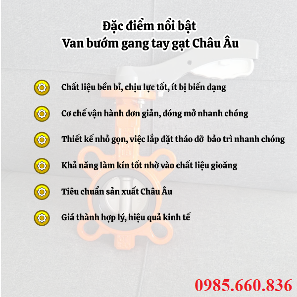 Đặc điểm nổi bật van bướm gang tay gạt Châu Âu