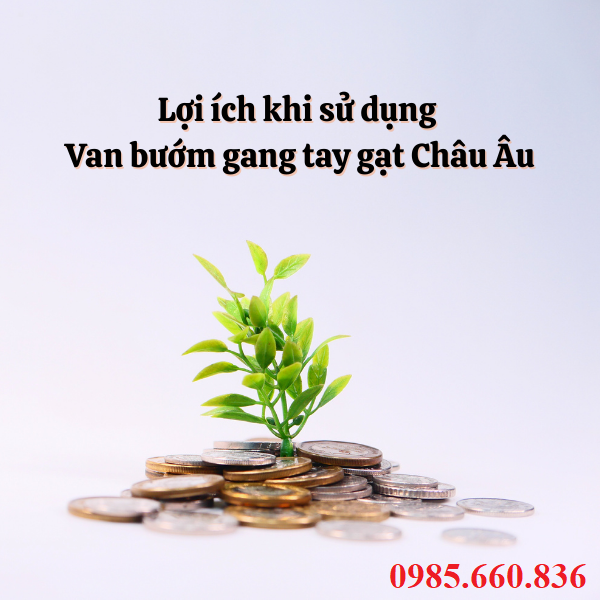 Lợi ích khi sử dụng van bướm gang tay gạt Châu Âu