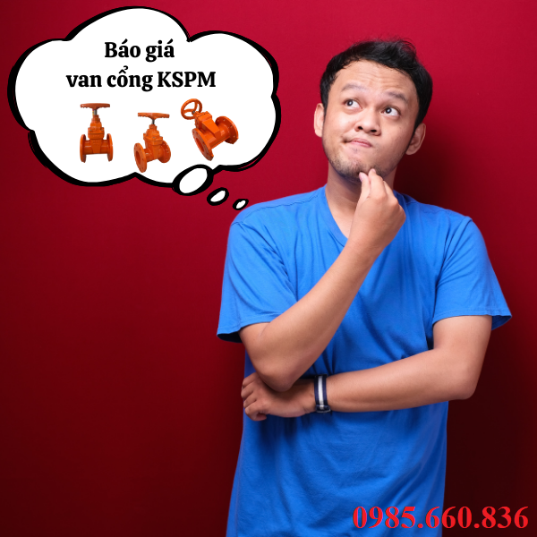 Báo giá van cổng KSPM chính hãng tại Thuận Phát