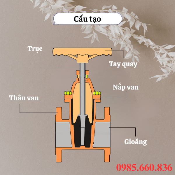 Cấu tạo van cổng Châu Âu