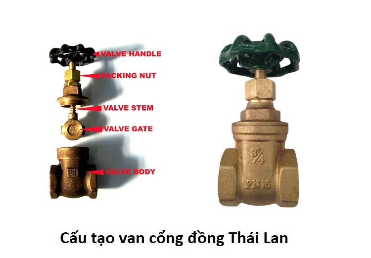 cấu tạo van cổng đồng Thái Lan