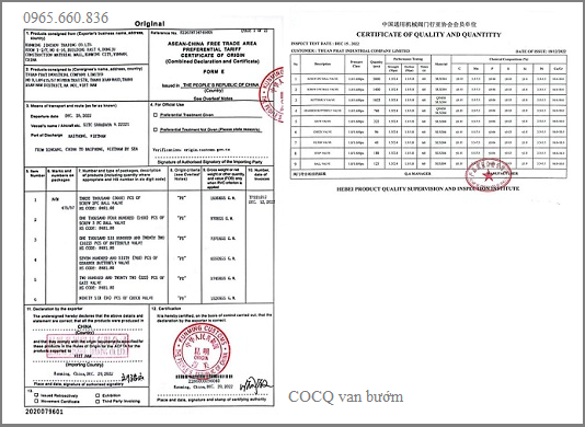 COCQ van bướm 1.