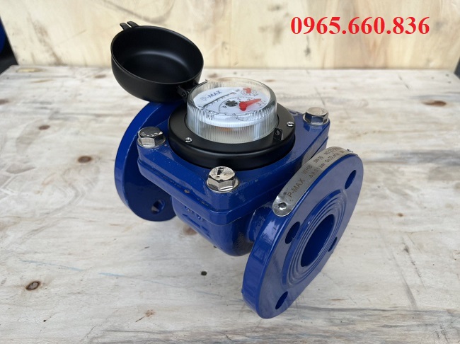 đồng hồ nước thực tế 195