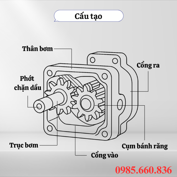 Cấu tạo bơm bánh răng HGP 17R-X-2B