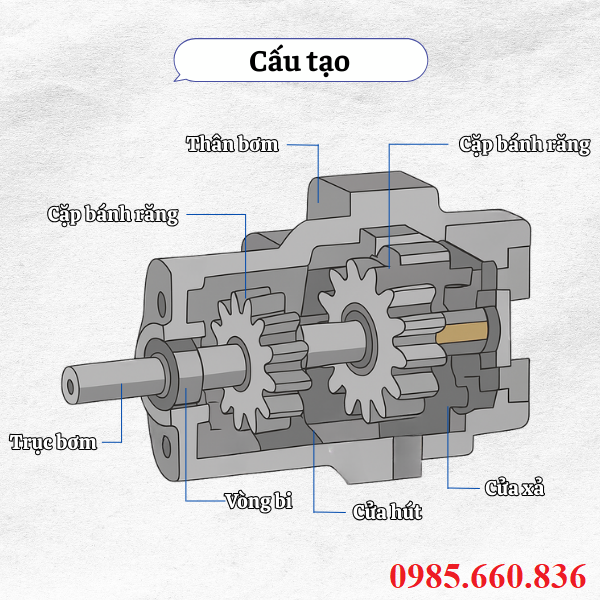 Cấu tạo bơm bánh răng JP10/8/F11/S2/R