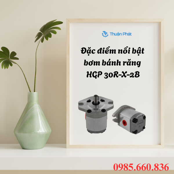 Đặc điểm nổi bật bơm bánh răng HGP 30R-X-2B