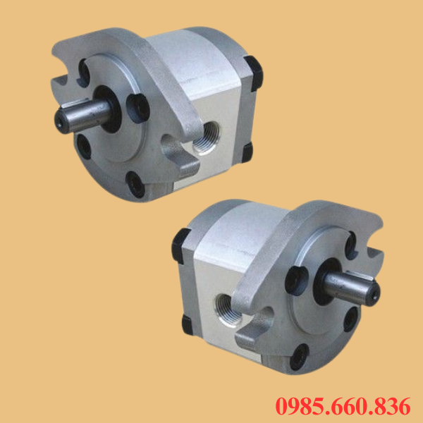 Giới thiệu chung về bơm bánh răng HGP 1AF 8R-X-2B-4B