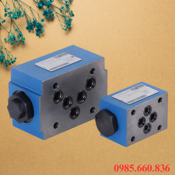Giới thiệu chung về van chống lún Sainffon Z2S10-40 | MPC 03W