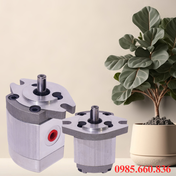 Khái quát về bơm bánh răng HGP 17R-X-2B | D15.8, D17.46, D19.05