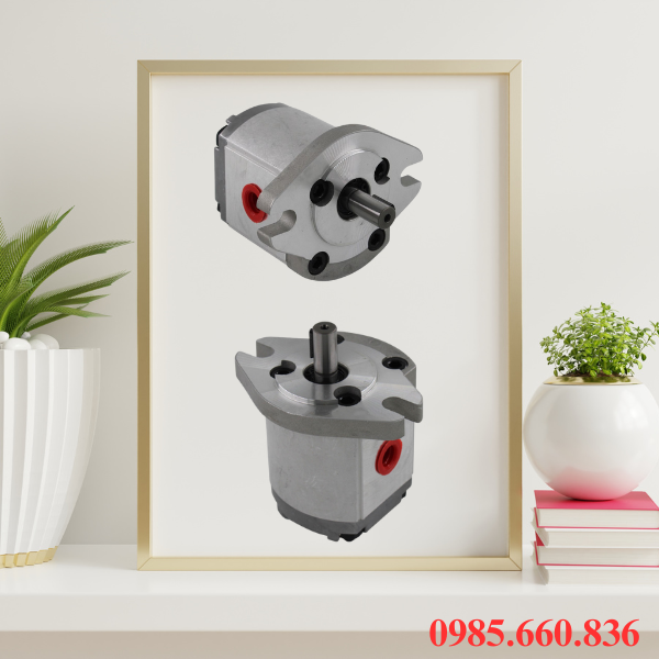 Thế nào là bơm bánh răng HGP 30R-X-2B | D15.8, D17.46, D19.05?