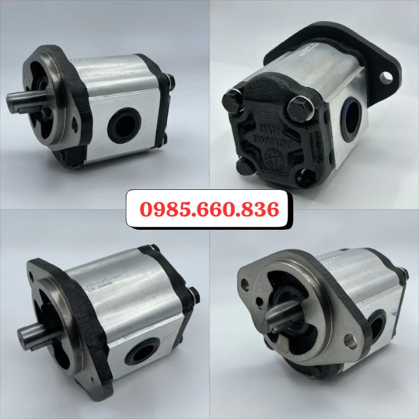 Ứng dụng bơm b&aacute;nh răng JP20/33/F21/S6/R