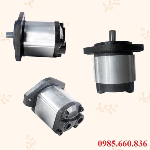 Ưu điểm bơm bánh răng JP20/18/F21/S6/R