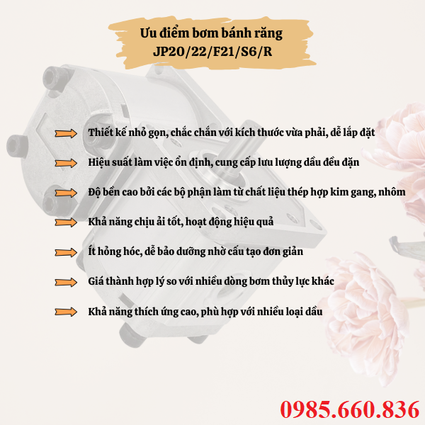 Ưu điểm bơm b&aacute;nh răng JP20/22/F21/S6/R