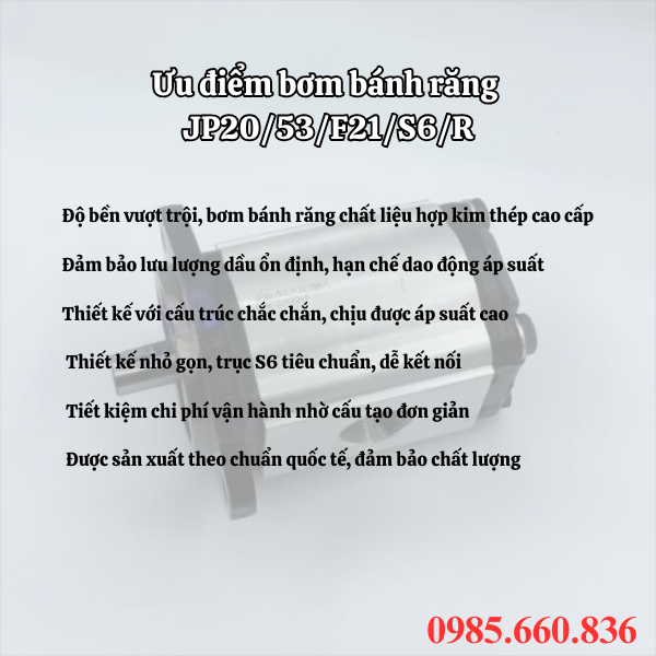 Ưu điểm bơm bánh răng JP20/53/F21/S6/R