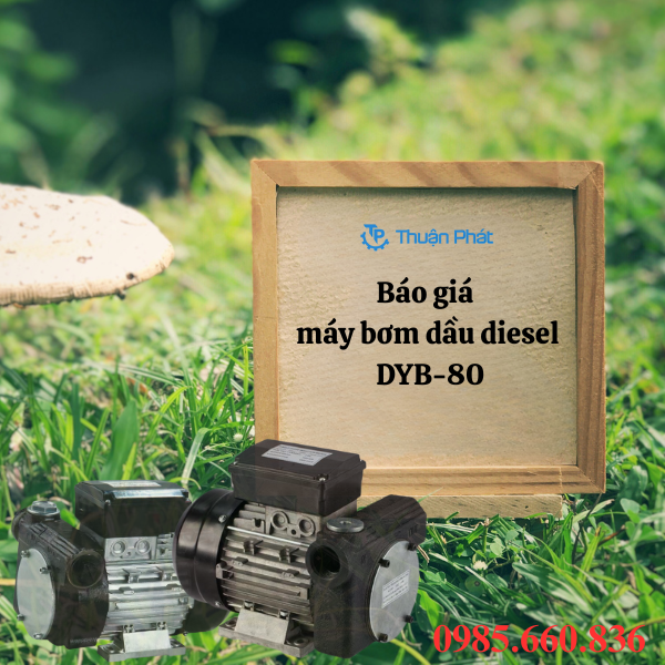 Báo giá máy bơm dầu diesel DYB-80 tại Thuận Phát