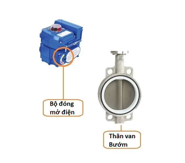 cau_tao_van_buom_dong_mo_dien