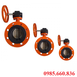 Van bướm gang tay quay Châu Âu