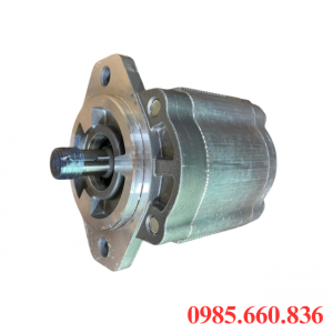 Bơm bánh răng JP10/3.6/F11/S2/R | S2 Trục 12.7