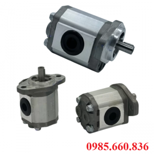 Bơm bánh răng JP10/8/F11/S2/R | S2 Trục 12.7