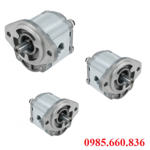 Bơm bánh răng JP20/10/F21/S6/R | S6 Trục 15.88
