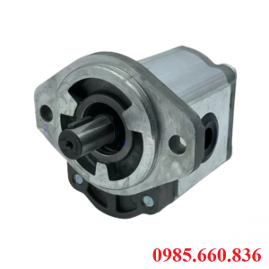 Bơm bánh răng JP20/18/F21/S6/R | S6 Trục 15.88