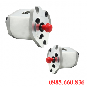 Bơm bánh răng HGP 19R-X-2B | D15.8, D17.46, D19.05