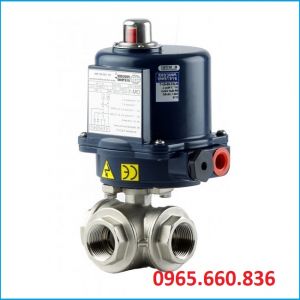 Van bi thép điều khiển điện Nhật Bản