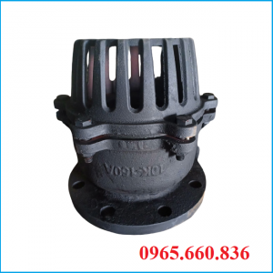 Rọ bơm thép WCB Nhật Bản