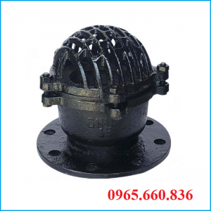 Rọ bơm gang Trung Quốc
