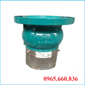 Rọ bơm gang Nhật Bản