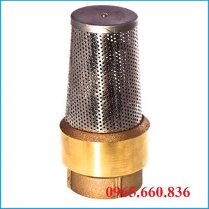 Rọ bơm đồng Đức