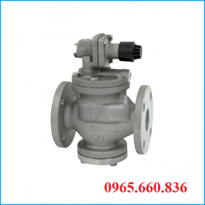Van giảm áp thép Nhật Bản